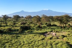 Angama-Amboseli-Kimana-Sanctuary-Mount-Kilimanjaro