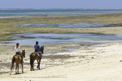 Kinondo-Kwetu-Hotel-Horseriding_Panorama-Galu-Beach-Diani-Beach-Kenya
