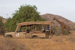 elephant-bedroom-camp-game-drives