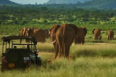 1_Elephant-Watch-Camp-Game-Drive