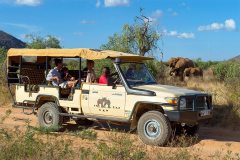 Elephant-Watch-Camp-Game-Drive1