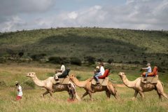 elewana-loisaba-lodo-springs-activities-camel-riding6D35E781-8DFD-5C32-6D28-C447D0AA4A4A
