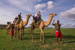 Elewana-Loisaba-Tented-Camp-activities-camel-trekking