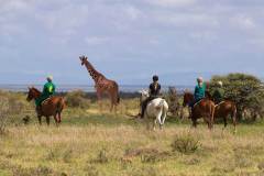 Elewana-Loisaba-Tented-Camp-activities-horse-riding-in-the-conservancy