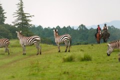 Fairmont-Mount-Kenya-swafari-Club__Horseriding-in-the-wild
