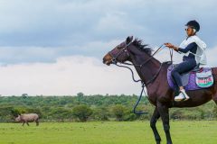 Horse-Riding-at-Sanctuary-1-scaled