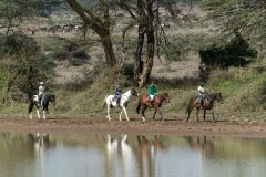 Laragai-hose-riding-safaris