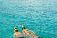 Manda-Bay-Resort-Activites-Snorkling