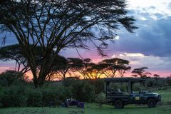 GreatPlains-Kenya-MaraNyikaCamp-56