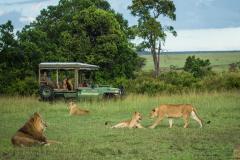 GreatPlains-Kenya-MasaiMara-11