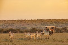 GreatPlains-Kenya-MasaiMara-29