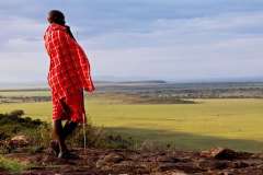 Kenya_MasaiMara_GreatPlainsMaraPlains_LandscapeMaasai