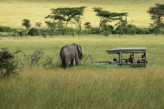 Mara-Toto-Camp-wildlife-drive