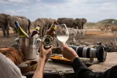 great-plains-ol-donyo-lodge-elephants-at-hide-for-sundowners-1536x1024-1