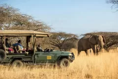 great-plains-ol-donyo-lodge-safari-with-elephant-1536x1024-1