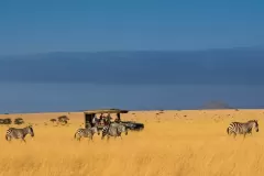 great-plains-ol-donyo-lodge-safari-with-zebra-1536x1024-1