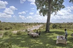 Rekero-lunch-under-trees