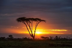 Kenya; Masai Mara; Sanctuary Olonana; Sunset