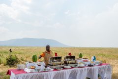 bush-lunch-at-serengeti-serena