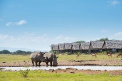 view-of-waterhole-at-sweetwaters-serena-camp